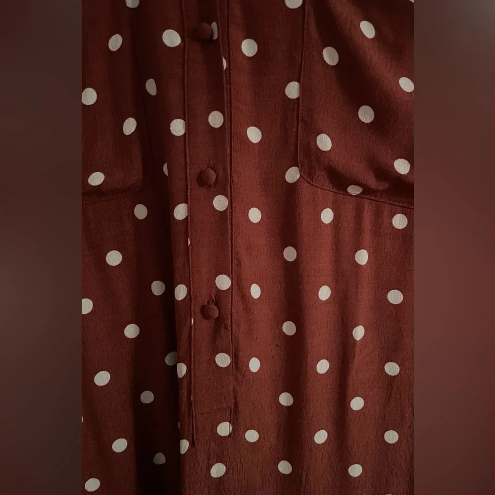 NWOT: Uterqüe Brown Midi-Dress with Polkadots - Picture 10 of 12
